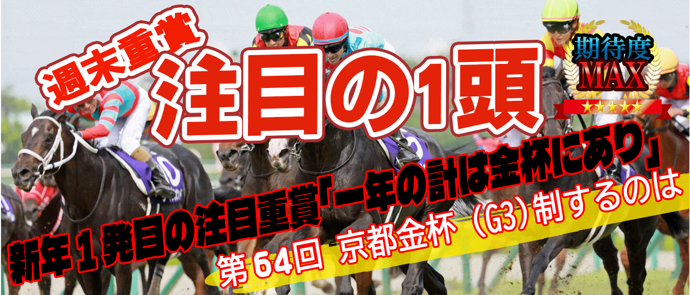 毎週水曜日更新